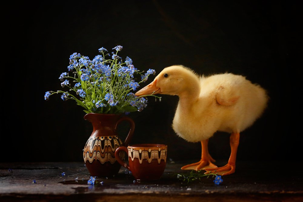 Photograph by Евгения Грин