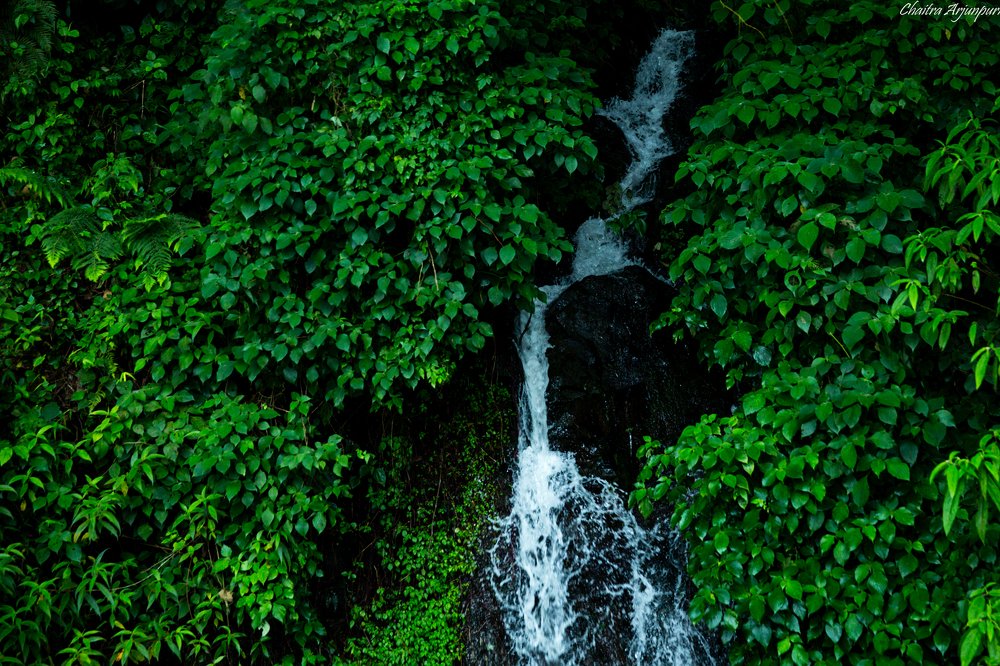 Stream of waterfall