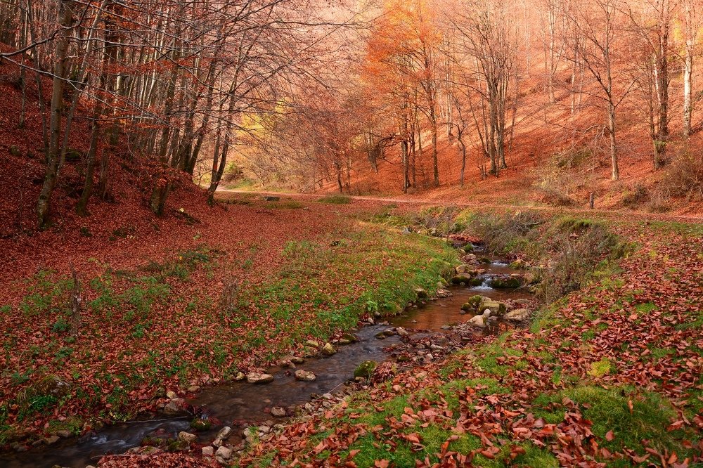 Wonderland in the Transylvanian mountains