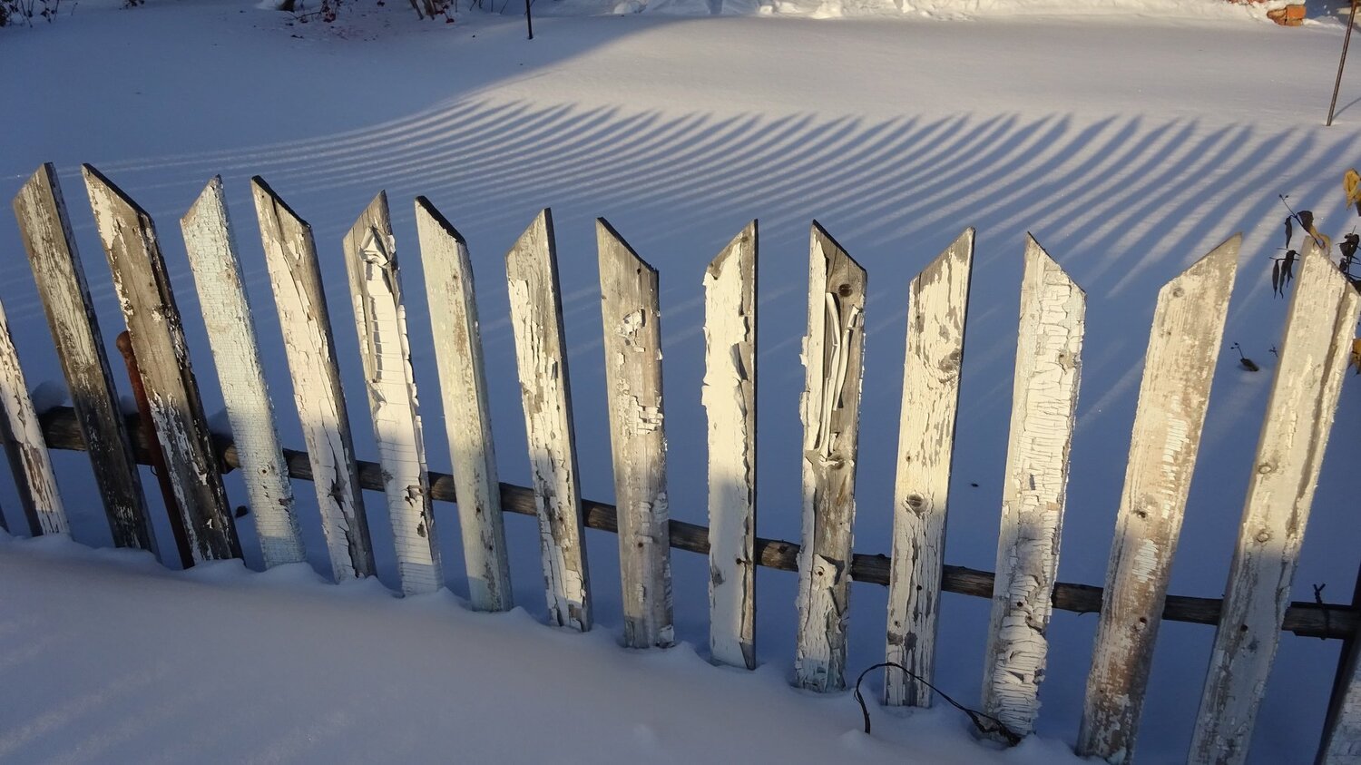 Photo #3207256