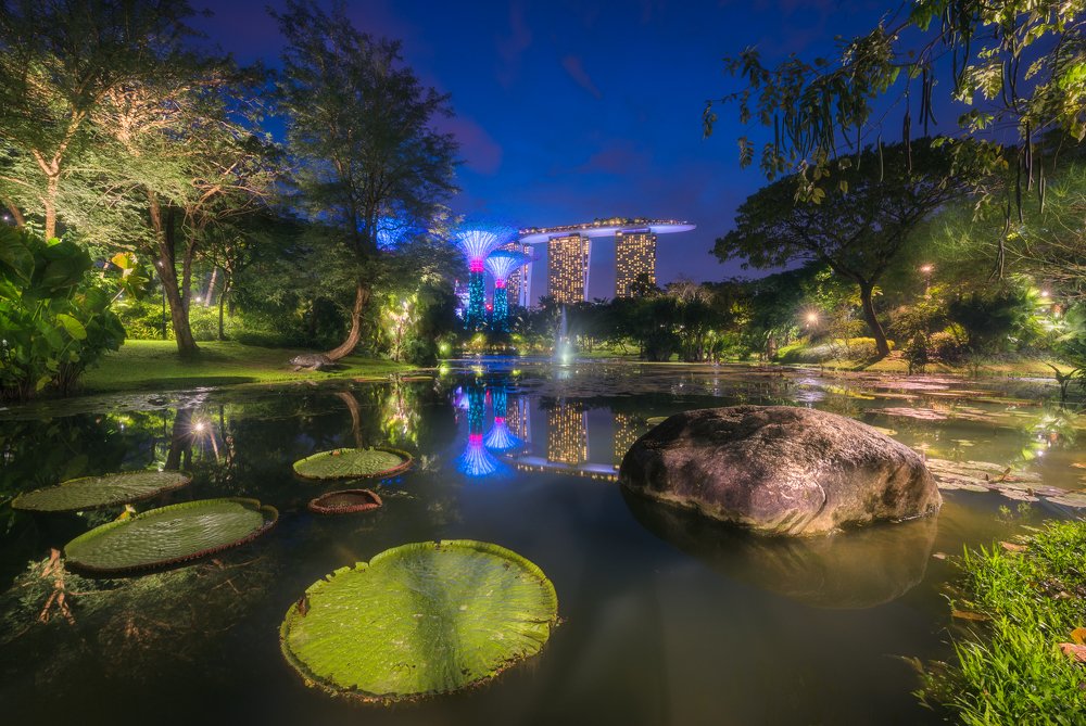 Spectacular skyline of Gardens by the Bay