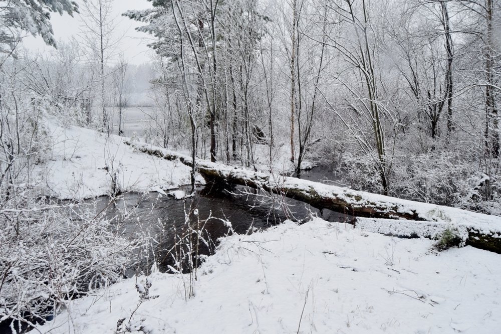 Снег  идёт. Ручей  течёт.