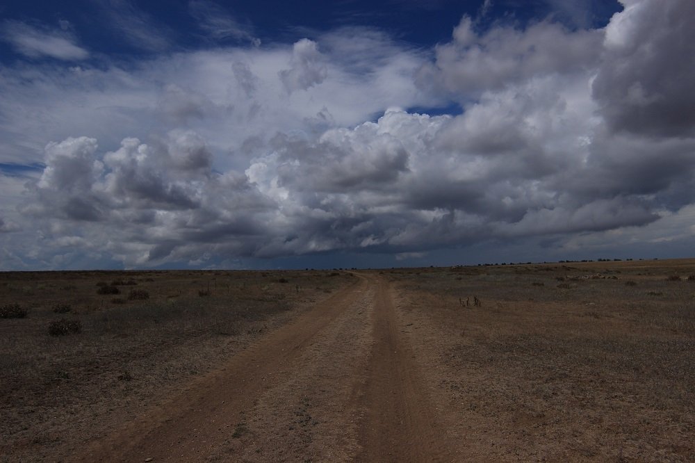 Перед дождём