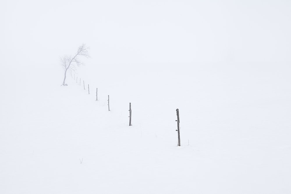 The Sound Of Silence