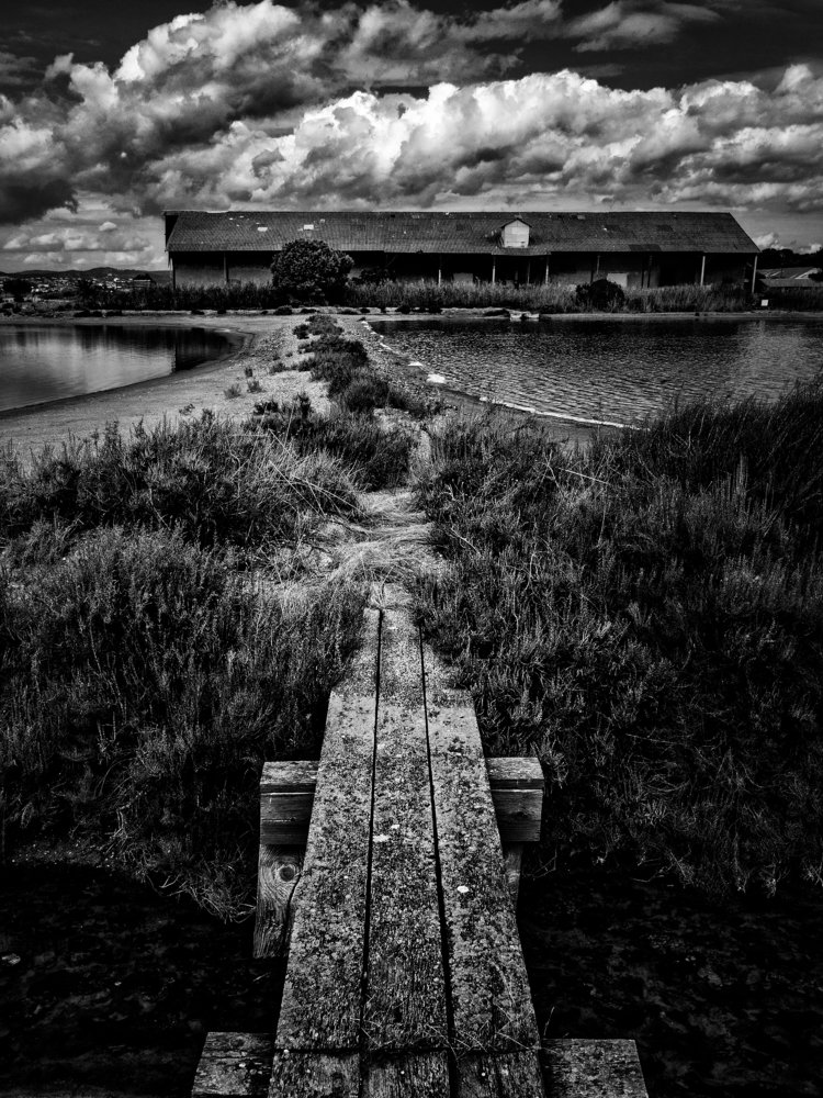 Les Salins des Pesquiers