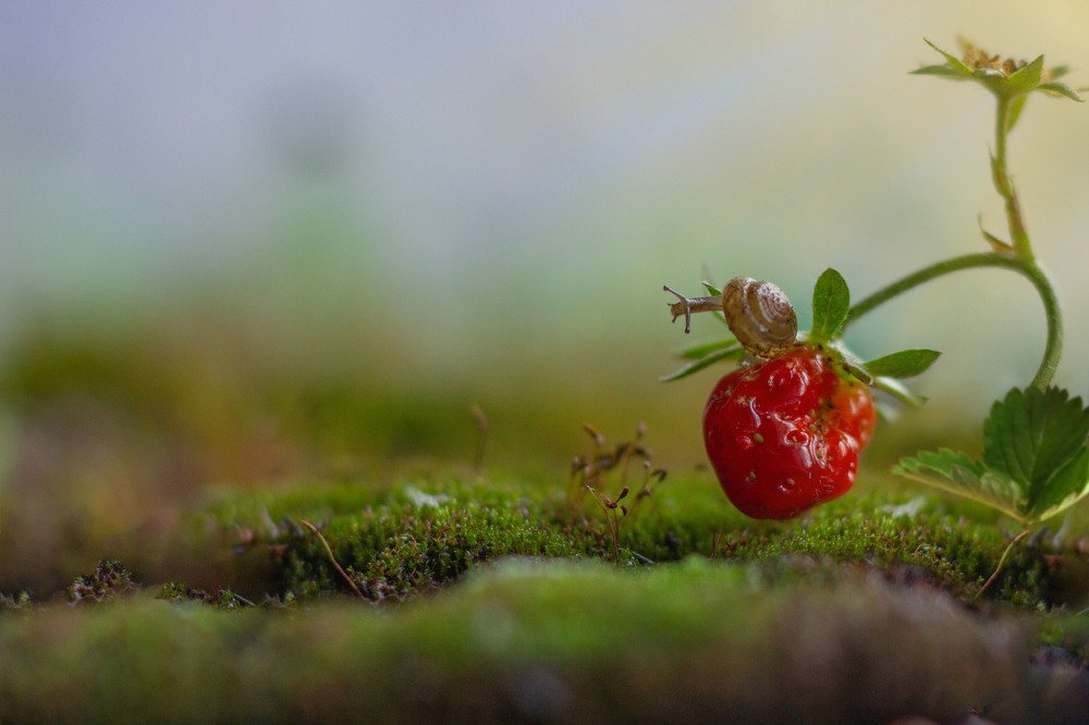 Photograph by Мария Берниц