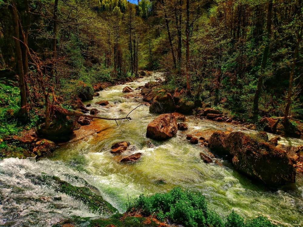 р.Курджипс.