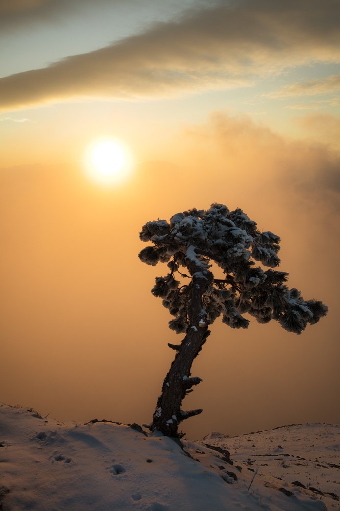 Февральским утром.