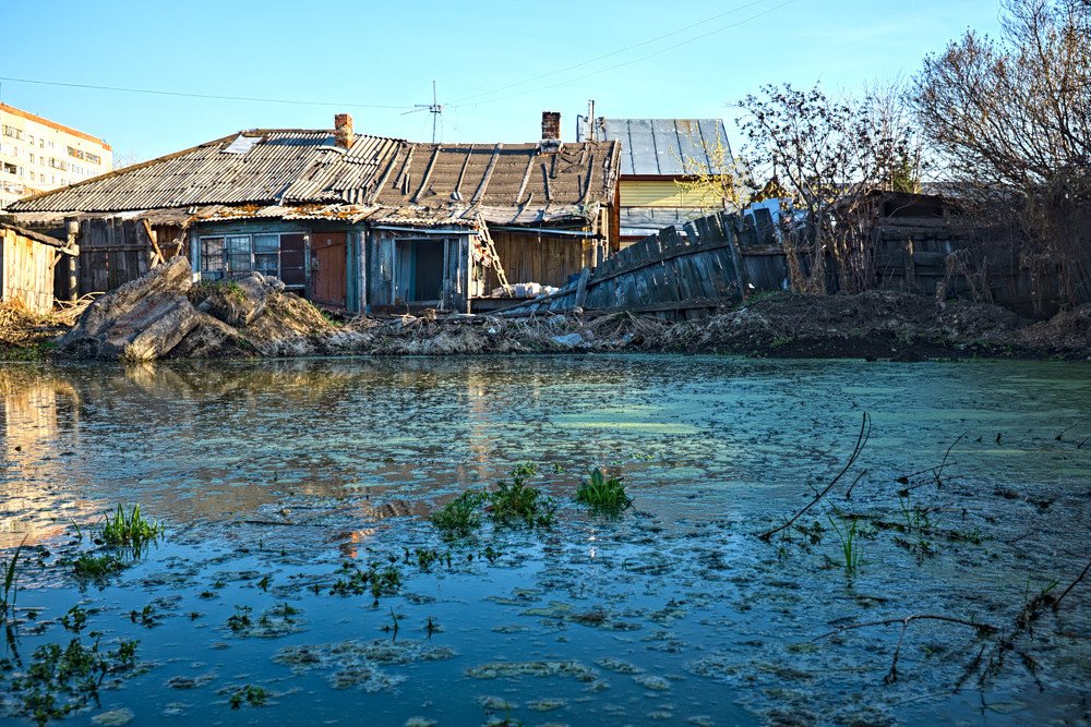 Дом на болоте