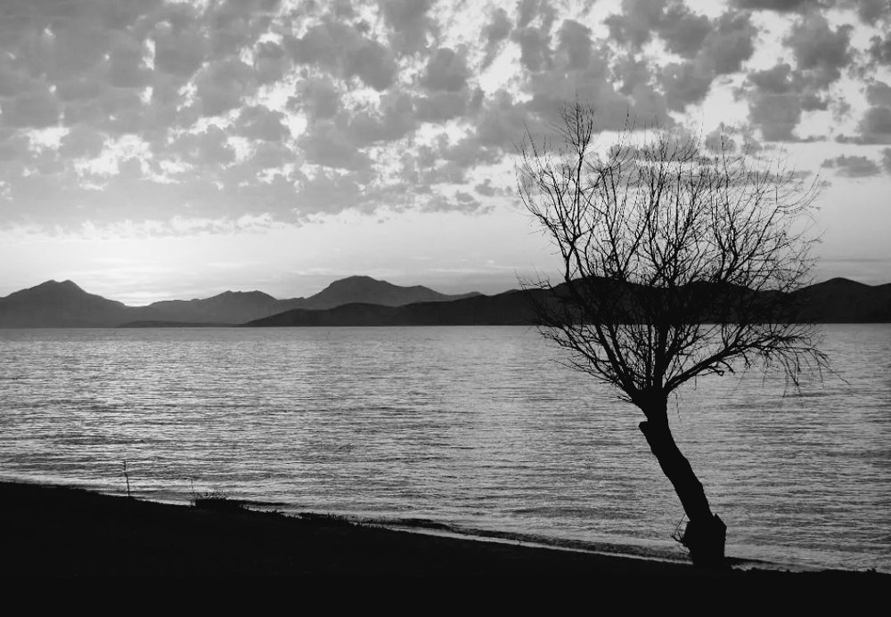 Природная идилия