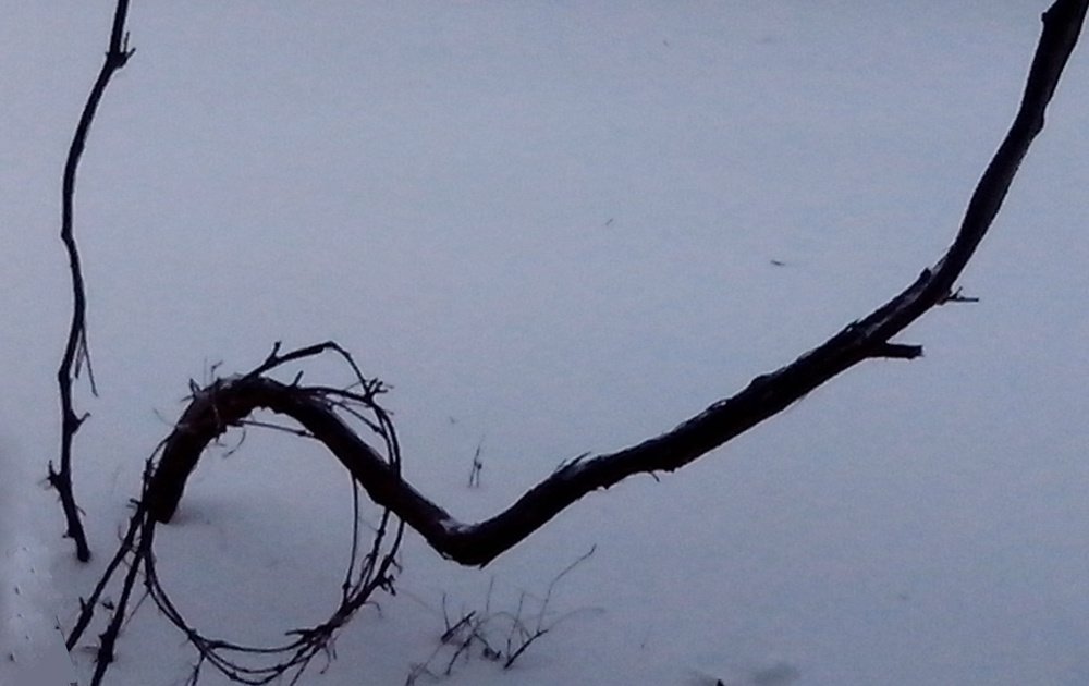 Воспоминания о Колымских лагерях