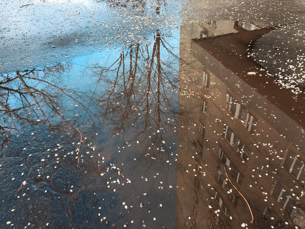 Отражение весны