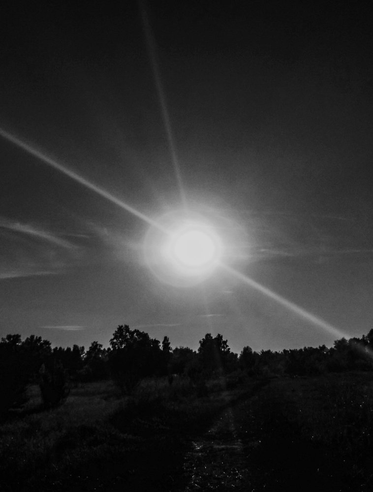 Black N' White Sun