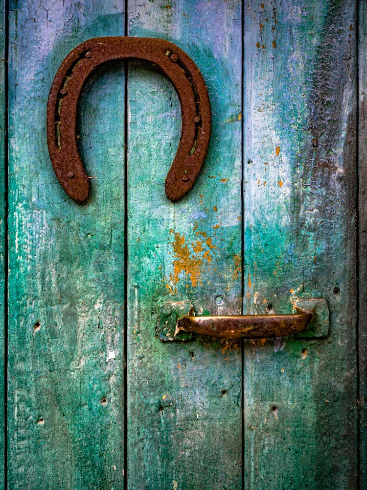 Horseshoe Door