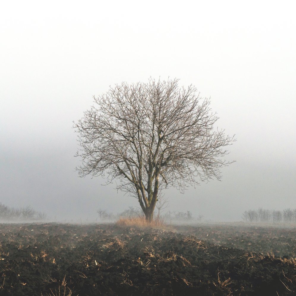 Пробуждение природы