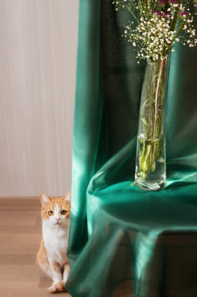 Photograph by Вероника Саратовцева