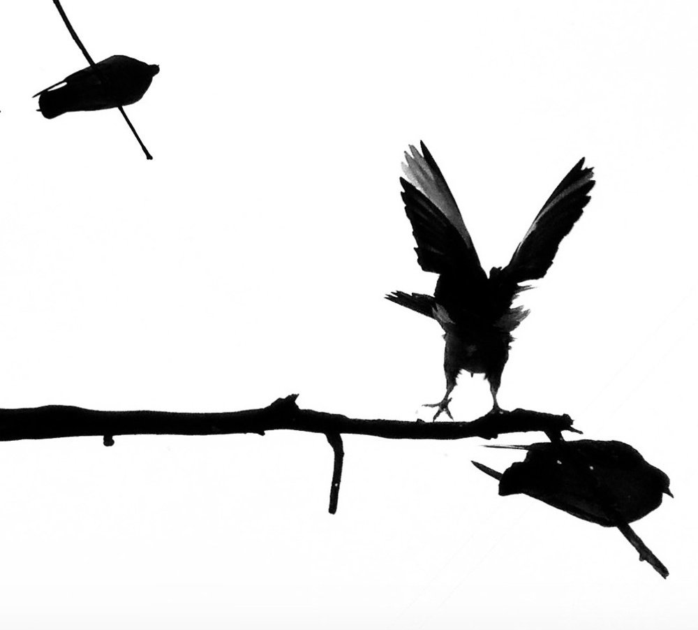 Photograph by Марина Хохрякова