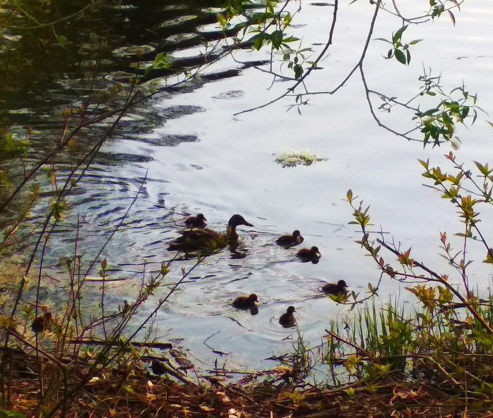 Photograph by Любовь Макарова