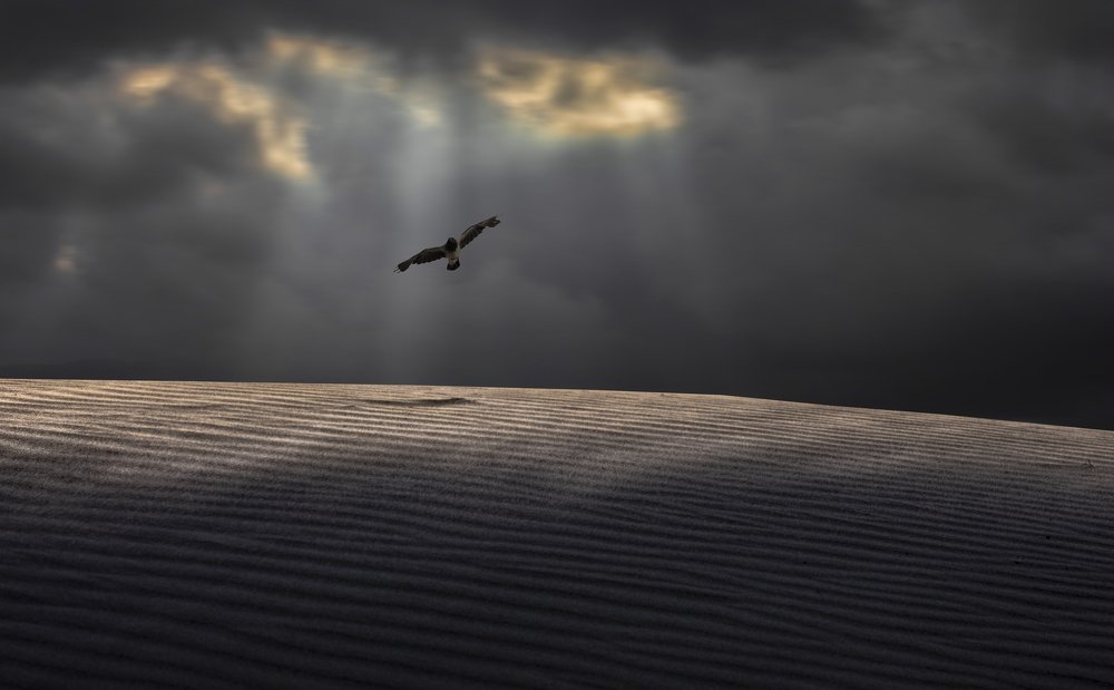 Photograph by Leonid Lan