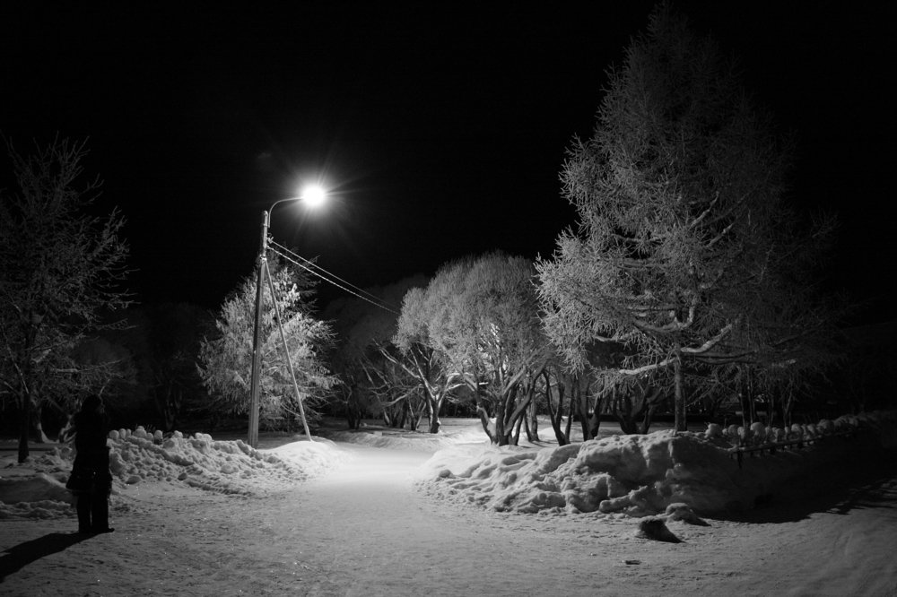 Зимний парк ночью