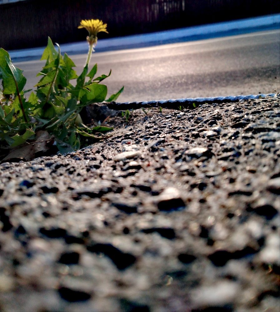 путь к морю