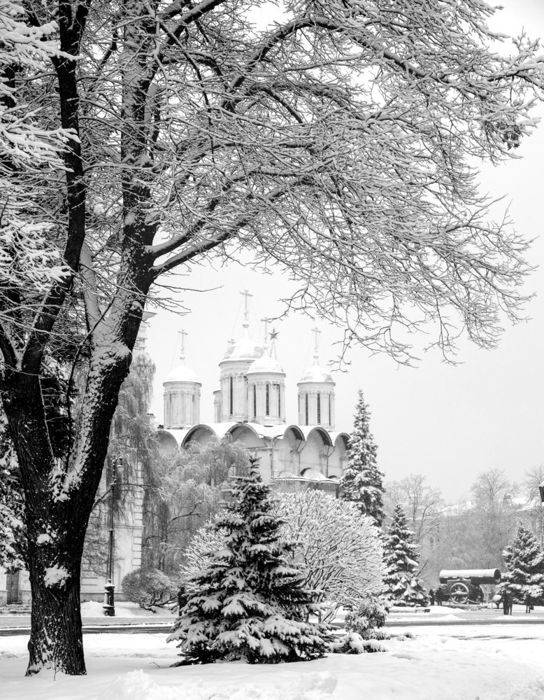 Какой на фото год?