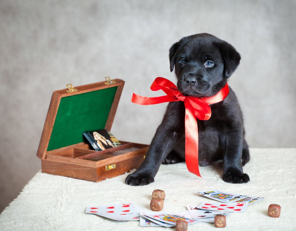 Photograph by Татьяна Макотра