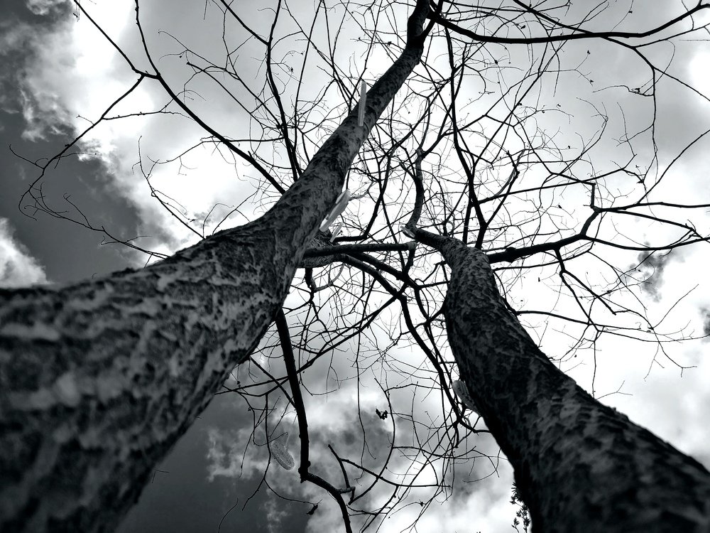 Фотография автора Anna NovaLova