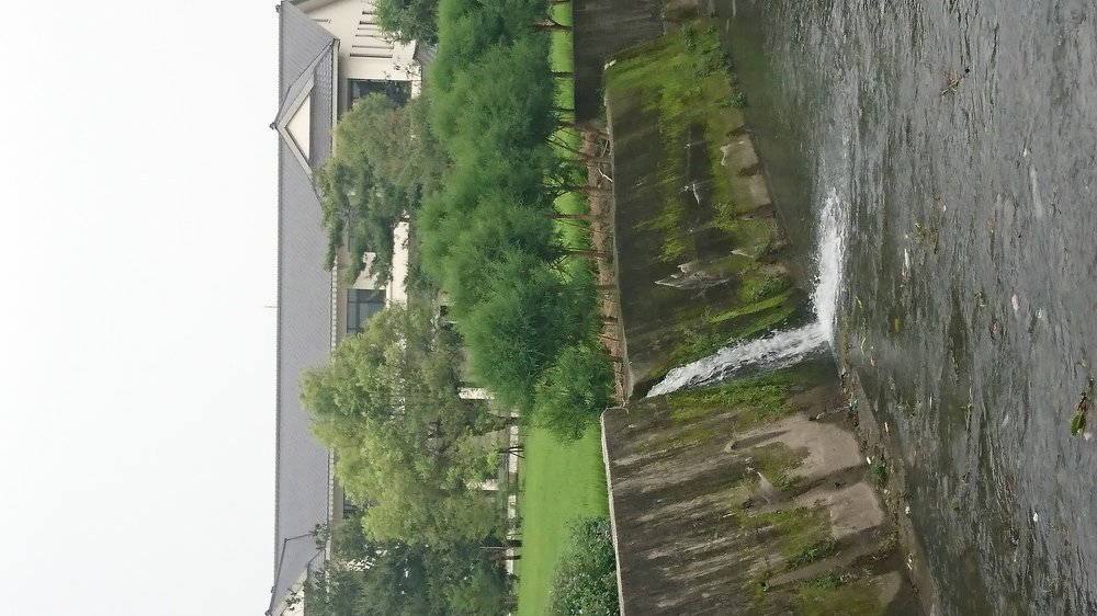 Water fall from irrigation