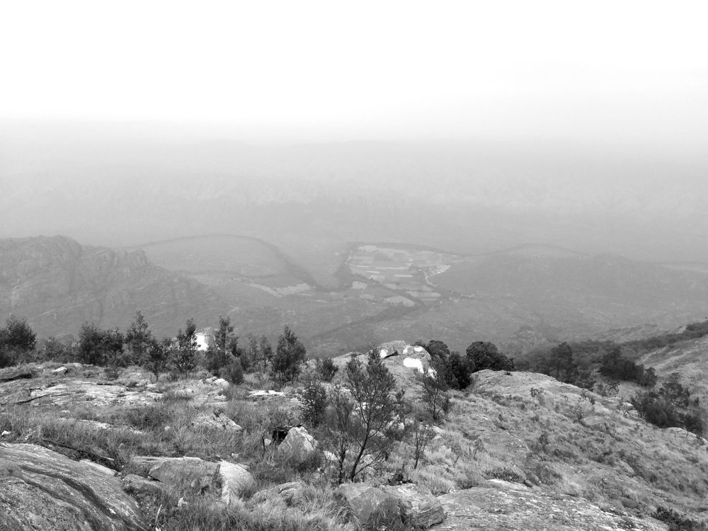 B&W photo