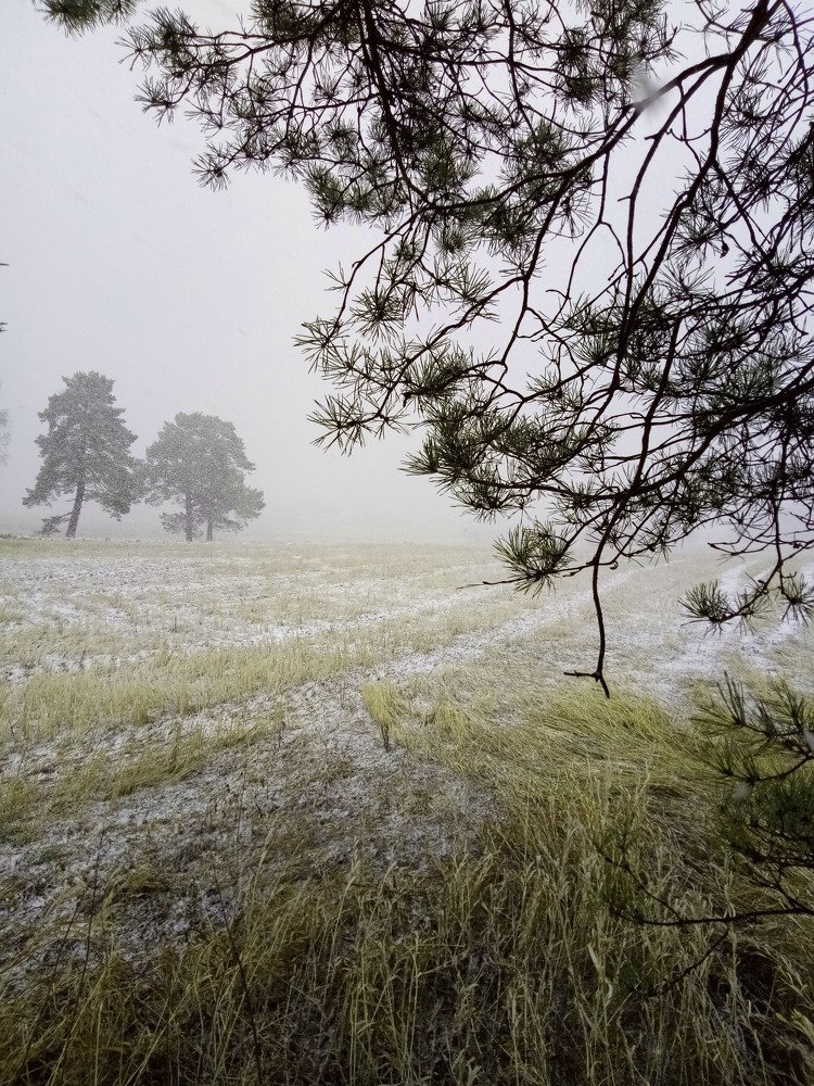 Май в Сибири