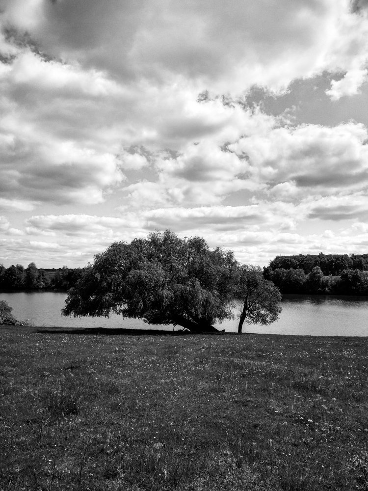 Photograph by Вадим Довбиш