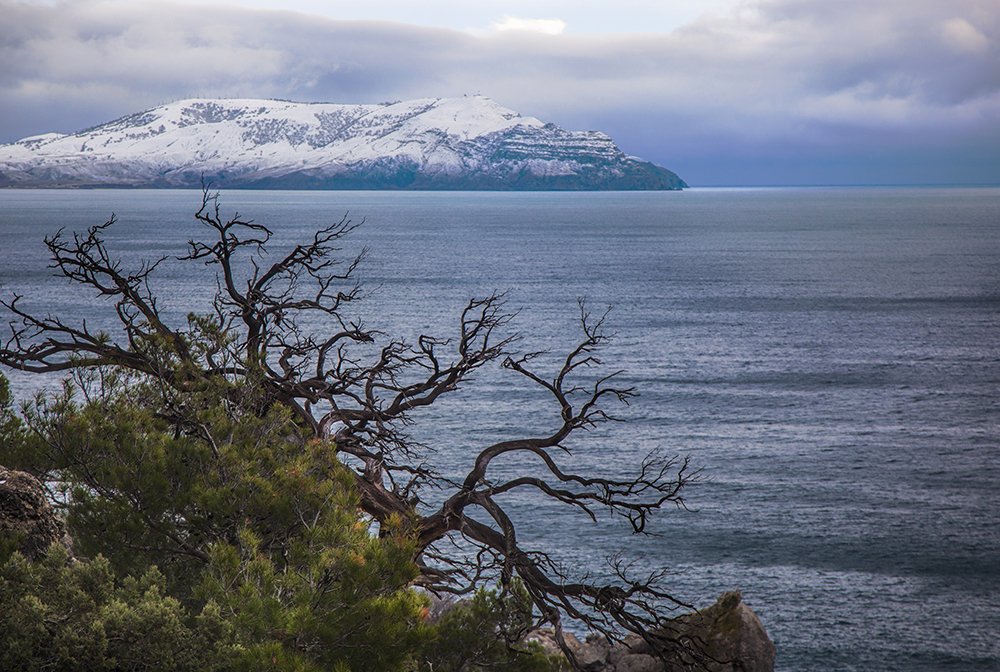 По дороге в Новый Свет