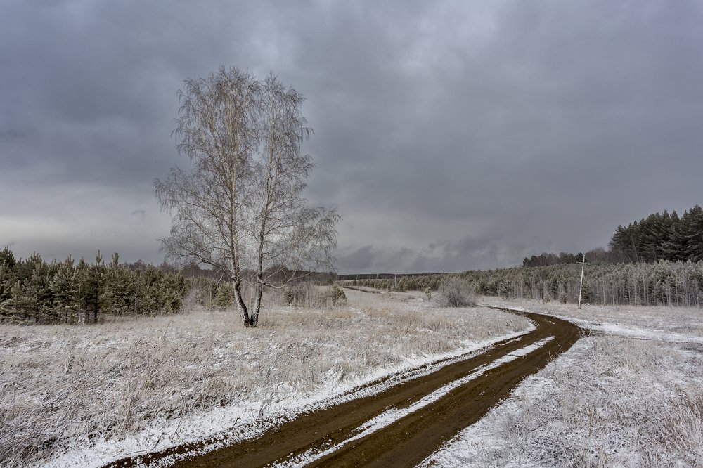 Внезапный весенний снег.