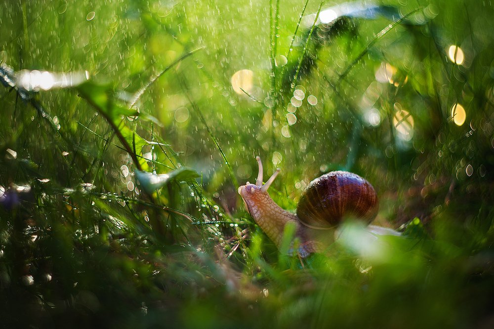 Photograph by Юлиана Джус