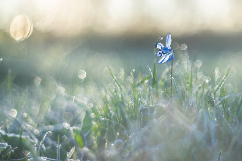 Холодное утро.