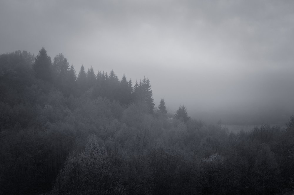 Тёмная лощина