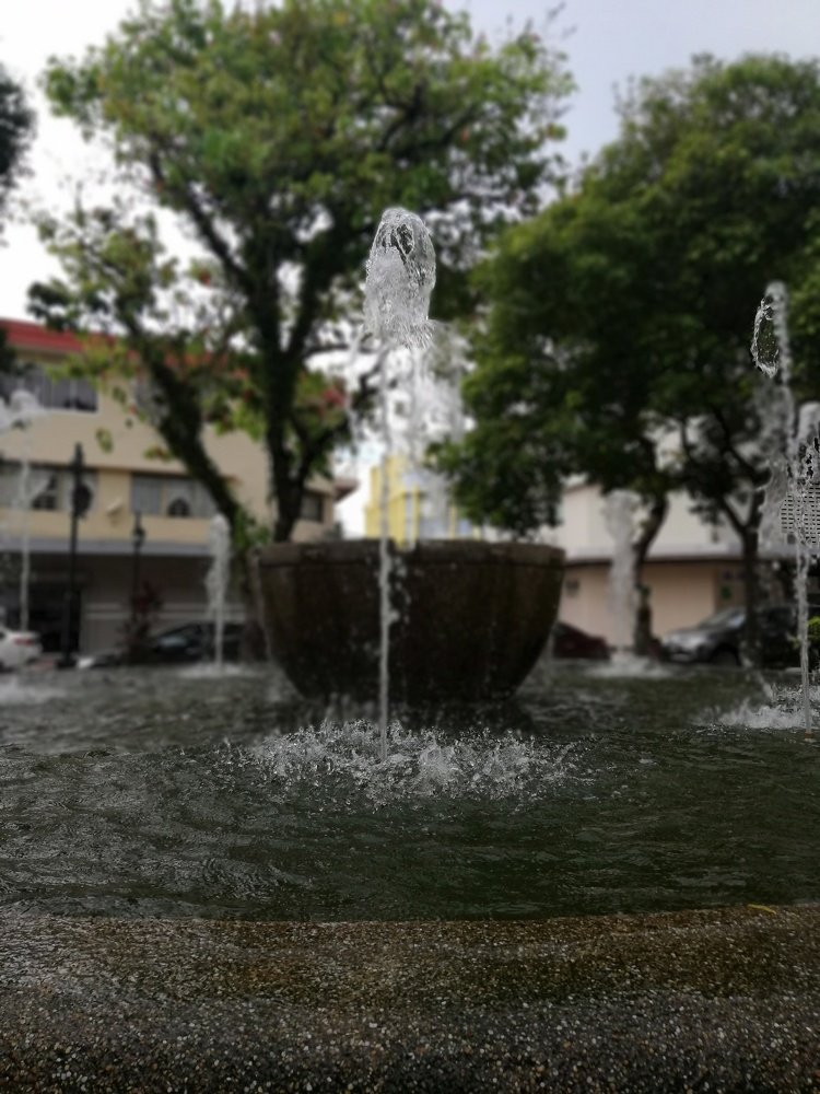 Waterfall Mini Garden