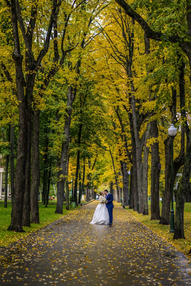 Photograph by Виктория Шульгина