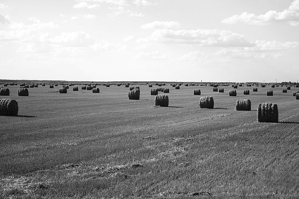 Photograph by Ольга Алексейчик