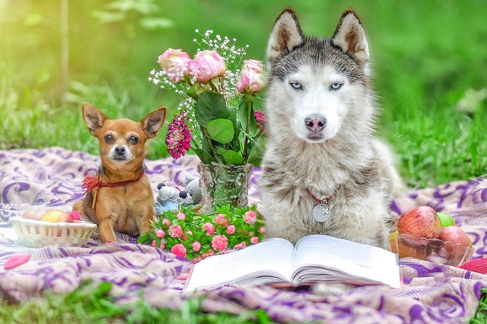 Фотография автора Мария Яропольская