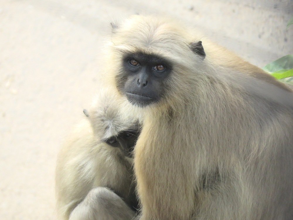 Mother & Kid