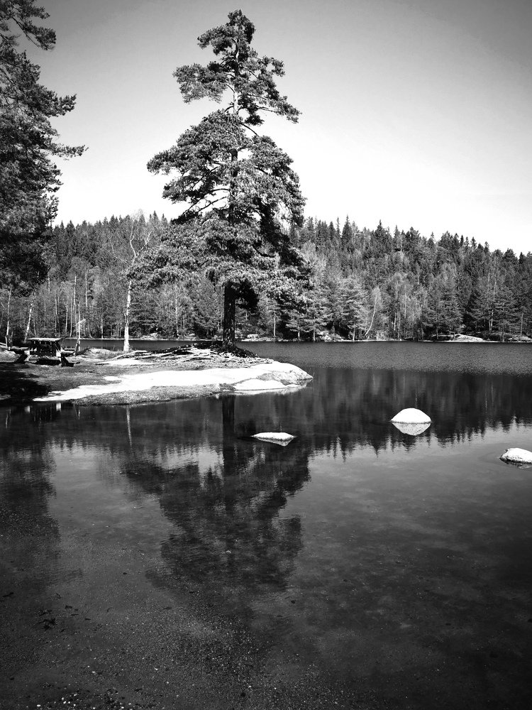 Фотография автора Anna NovaLova