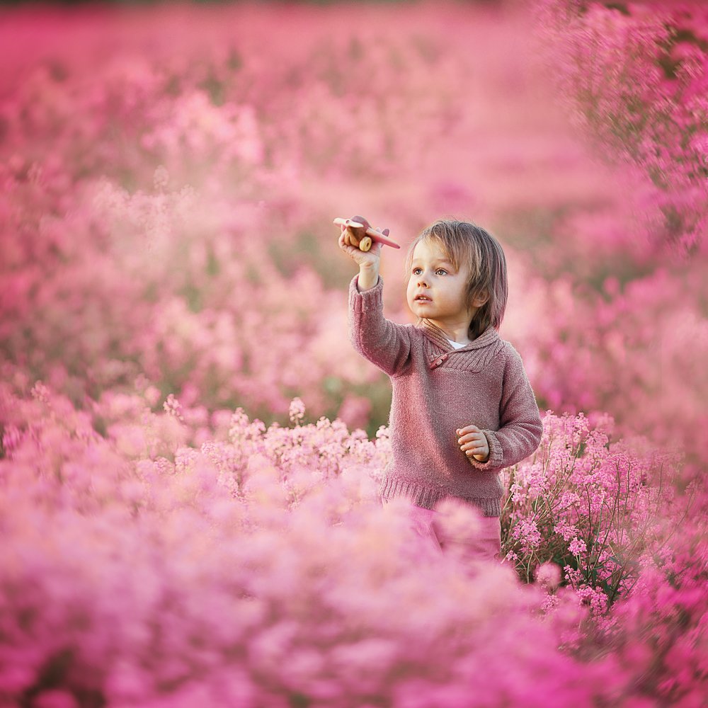 Розовые мечты