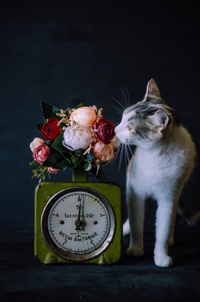 Девочка с цветами