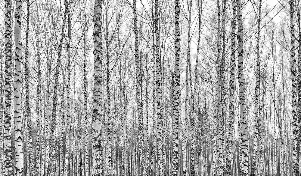 Штрих-код России