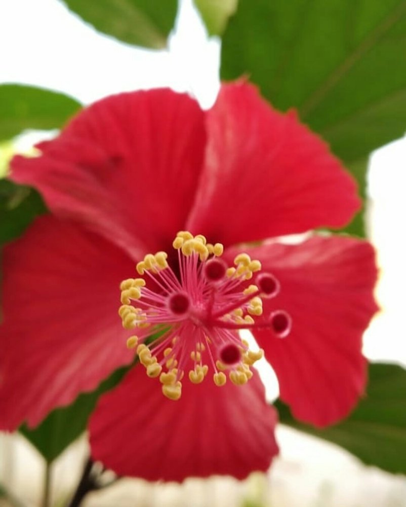Photograph by Nkaushik