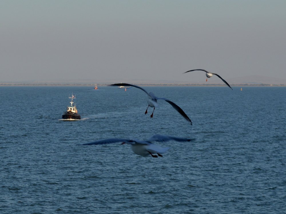 Крым. Керченский пролив.