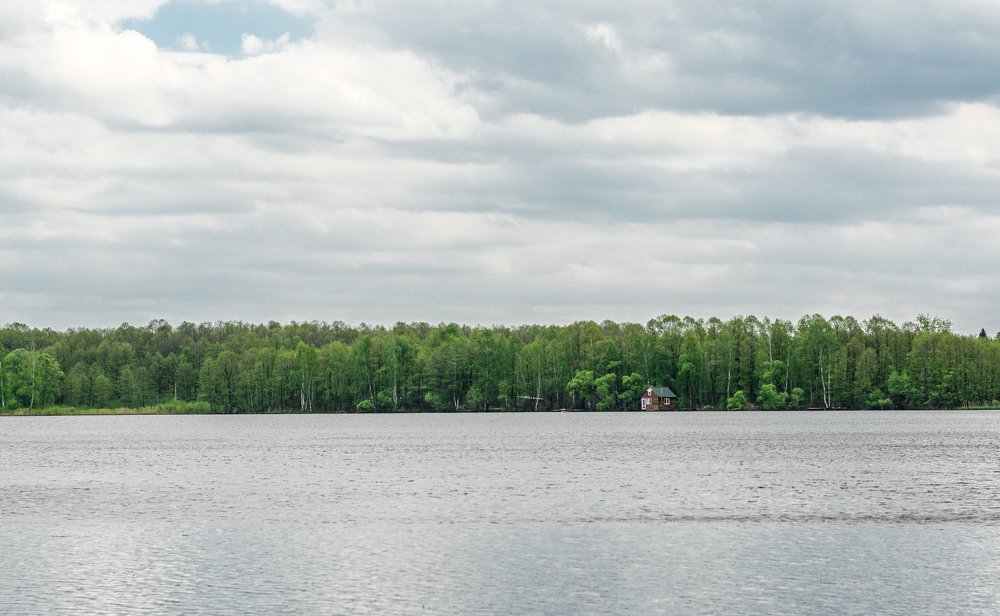 Зеленая полоса