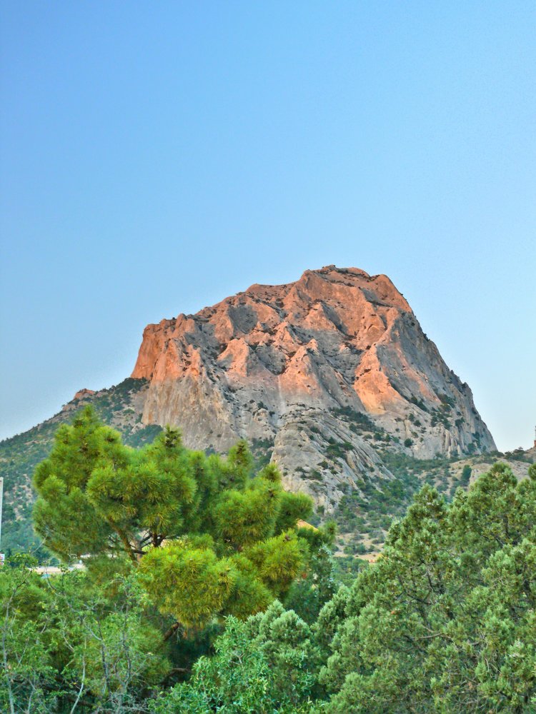 Сокол в лучах заката.